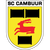 club logo